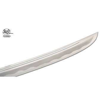 Tanto Dragon Citadel