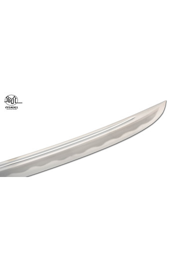 Tanto Dragon Citadel