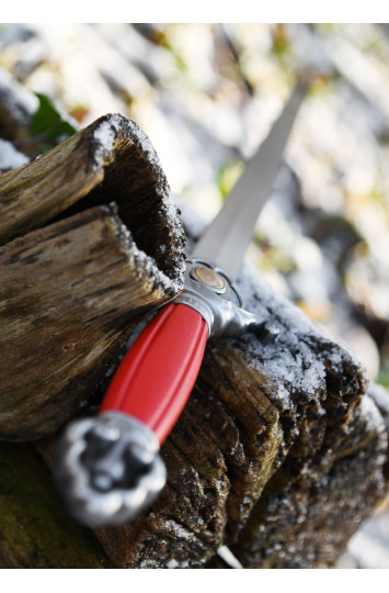 Praktinis ušu Kardas