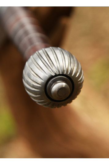 Ilgasis kalavijas su makštimis