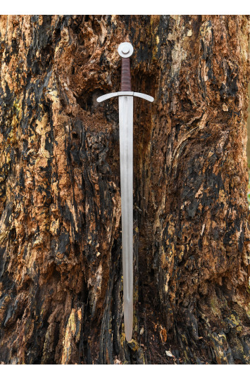 Kalavijas Kryžiuočių vienos rankos turnyrų