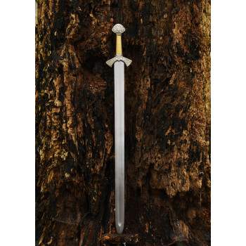 Kalavijas vikingų Langeid