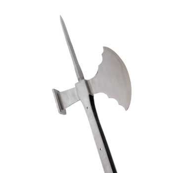 Venecijietiško poleakso galva 