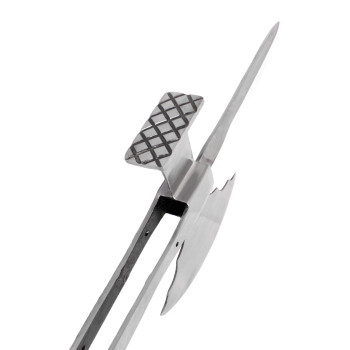 Venecijietiško poleakso galva 