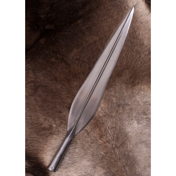 Vikingų Hevingo ietigalis