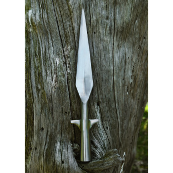 Vikingų sparnuotasis ietigalis 