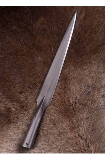 Vikingų svaidomosios ieties ietigalis