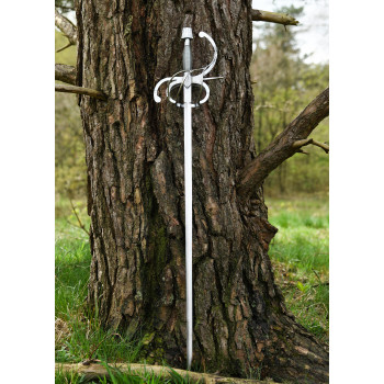 Rapyra Renaissance Swept Hilt 