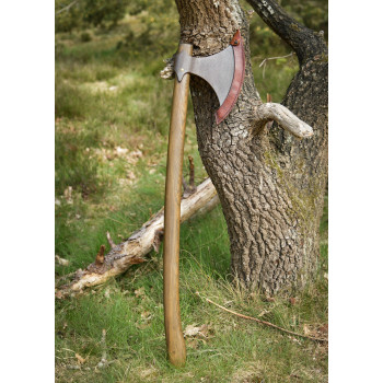 Senovinis Danų kirvis 1m.