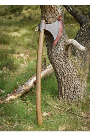 Senovinis Danų kirvis 1m.