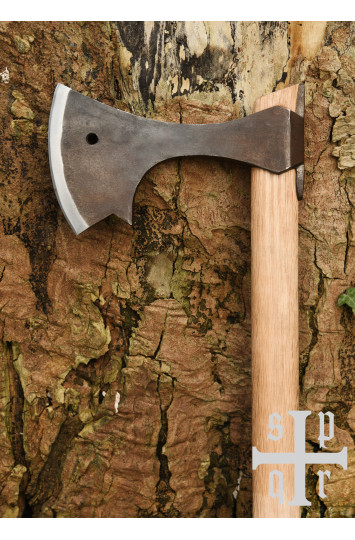 Vikingų kirvis Gotland