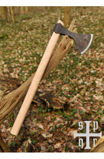 Vikingų kirvis Gotland