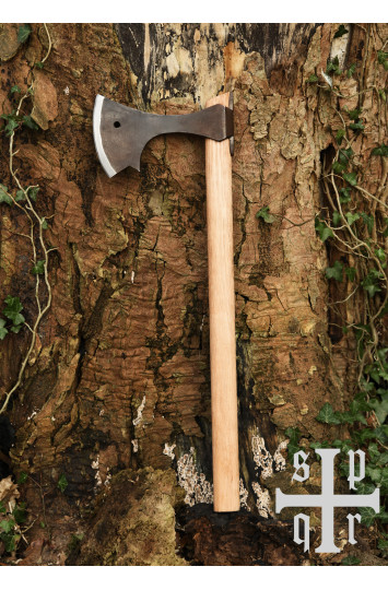 Vikingų kirvis Gotland