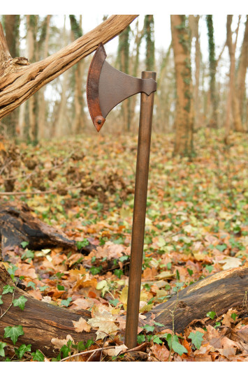 Vikingų kirvis senovinis