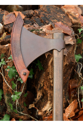 Vikingų kirvis senovinis