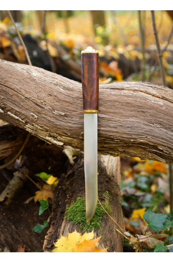 Romėnų peilis Europos III a.