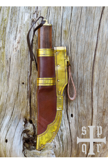 Vikingų peilis iš Gotlando