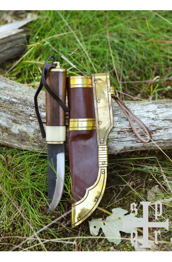 Vikingų peilis iš Gotlando