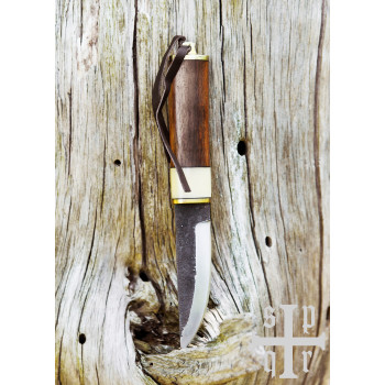 Vikingų peilis iš Gotlando