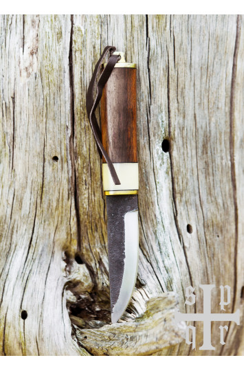 Vikingų peilis iš Gotlando