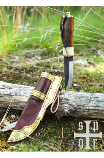 Vikingų peilis iš Gotlando