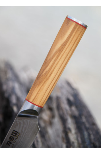 Virtuvinis peilis Slicing Damasko plieno