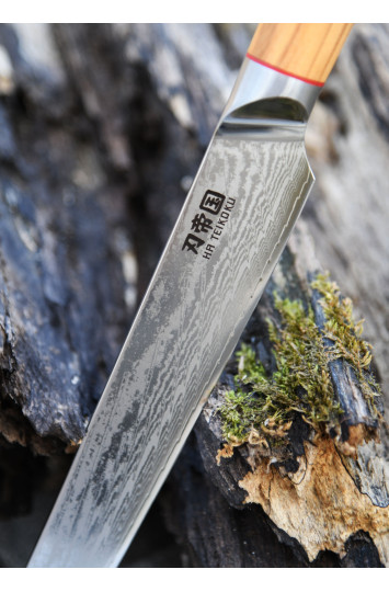 Virtuvinis peilis Slicing Damasko plieno