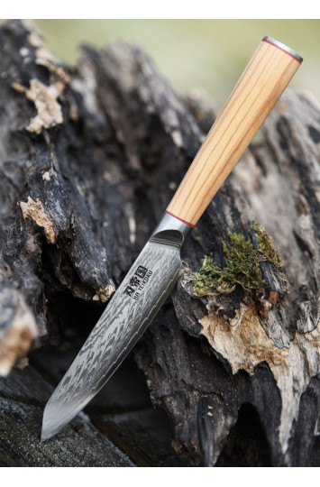 Virtuvinis peilis Utility Damasko plieno